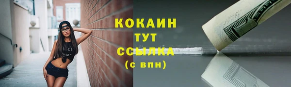 винт Туринск