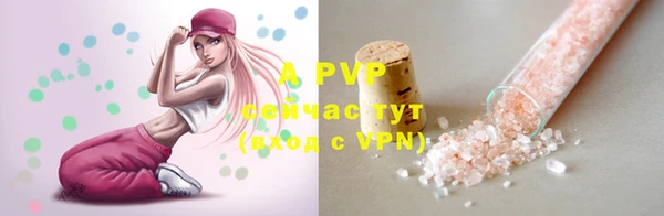 винт Туринск