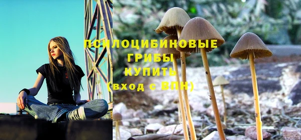 MESCALINE Тында