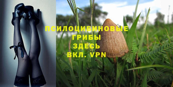 винт Туринск