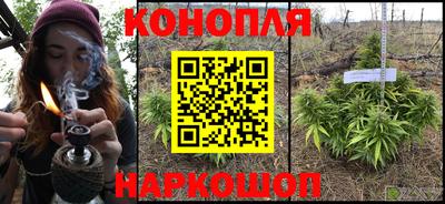 стафф Балаково