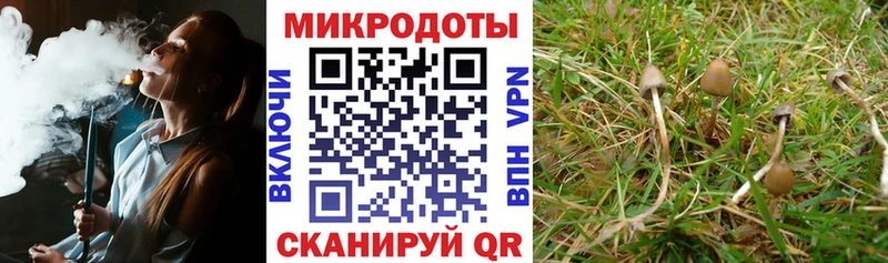 купить наркотики сайты Удомля Галлюциногенные грибы прущие грибы