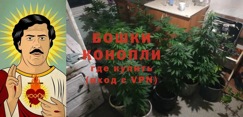 наркошоп  Удомля  Бошки марихуана Bruce Banner 